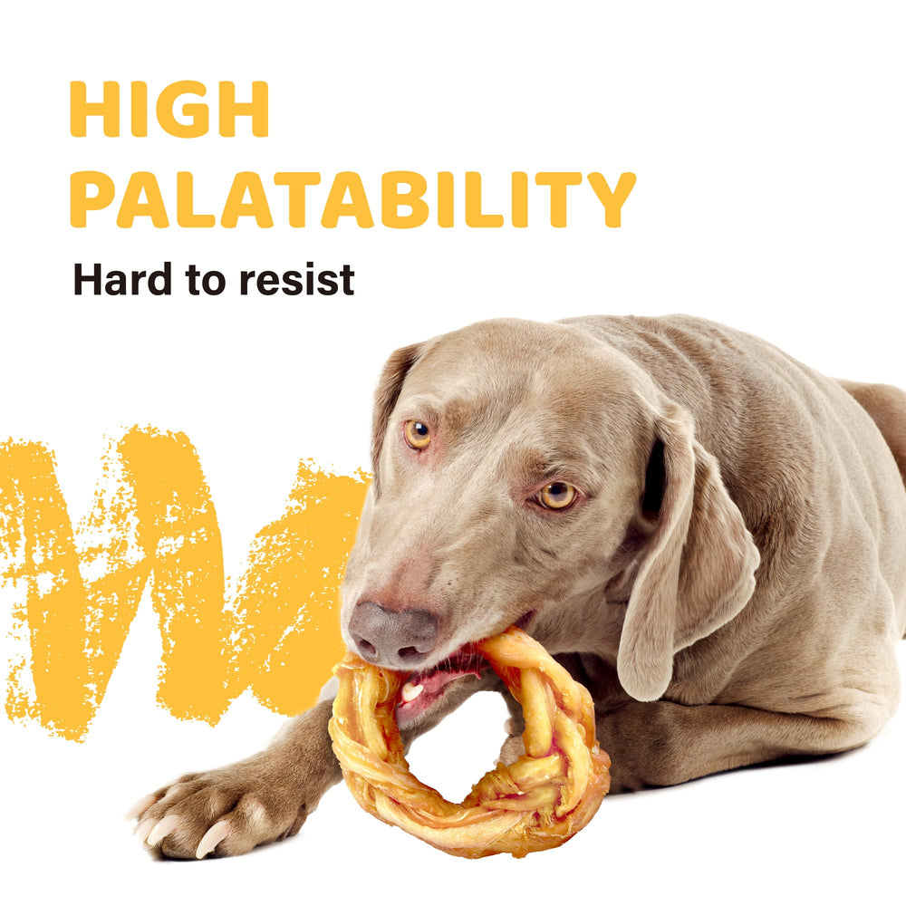 iPaw Turkey Tendons dog-chewing action demonstrates a safe daily chew