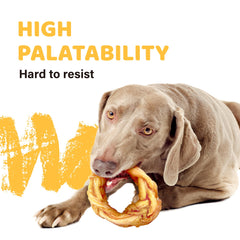 iPaw Turkey Tendons dog-chewing action demonstrates a safe daily chew
