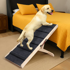 IPETBA dog ramp bed-couch setup helps aging dogs reach furniture smoothly.