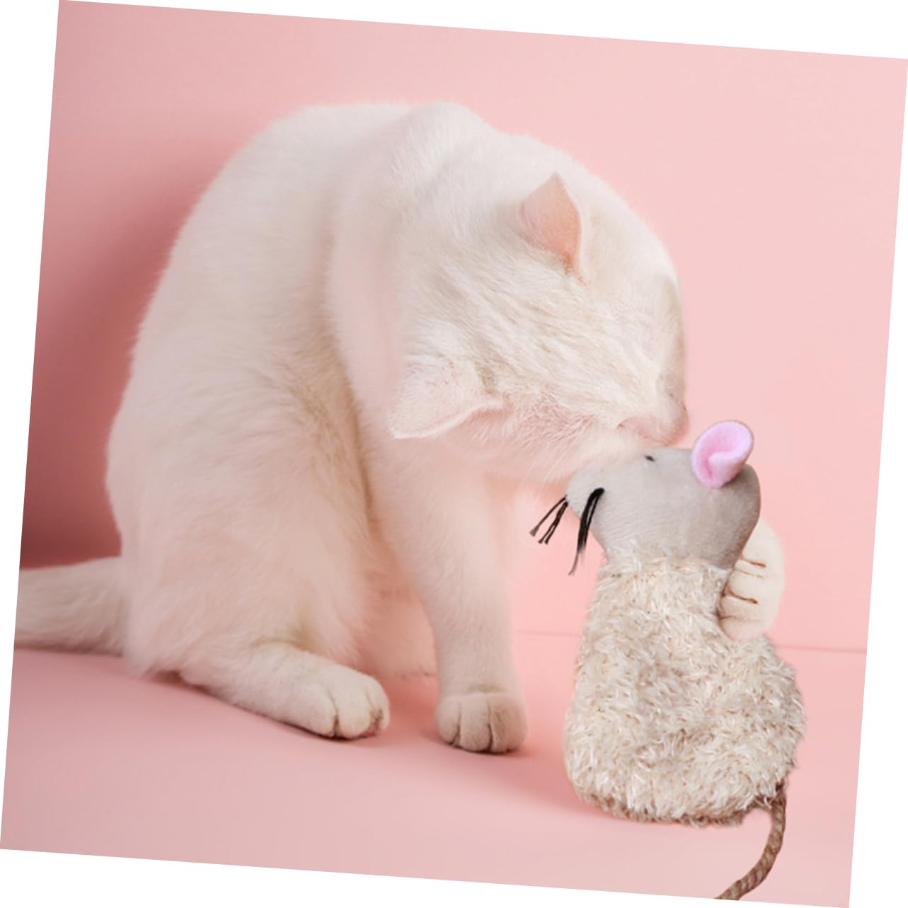 Ipetboom kitten playtime catnip toy delivers colorful appeal and gentle stimulation.