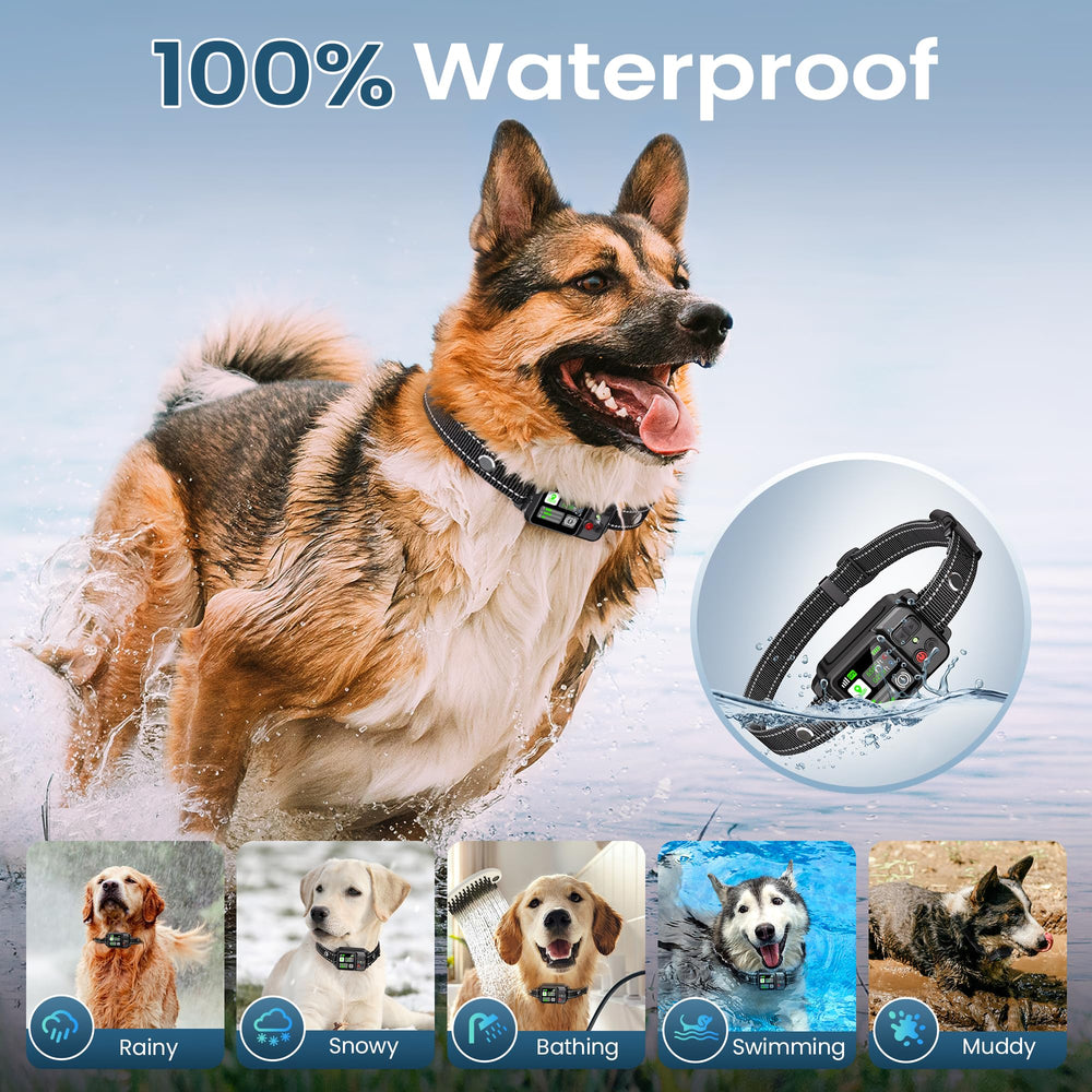 ipetlore adjustable collar strap highlights versatile neck sizes for most dogs.
