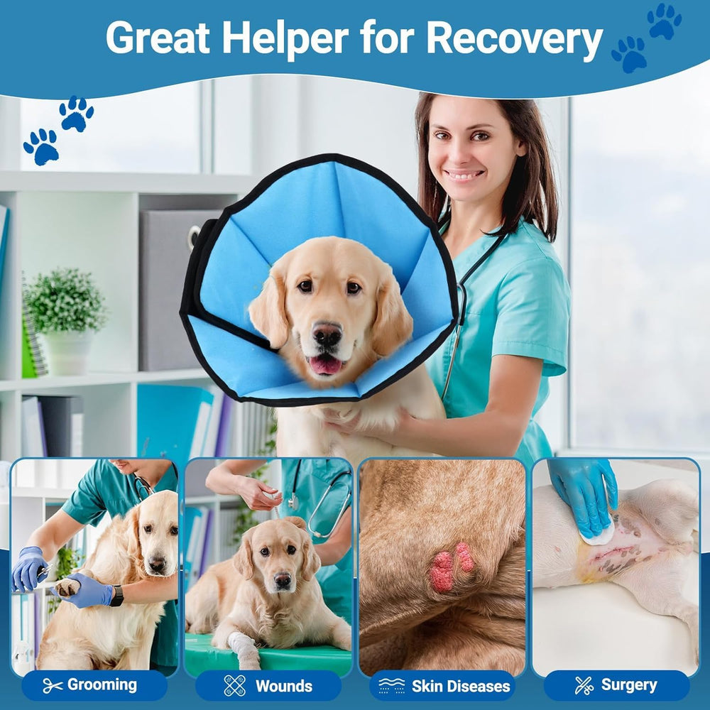 ipetstation dog cone first-time usage guide shows gradual wear and rewards