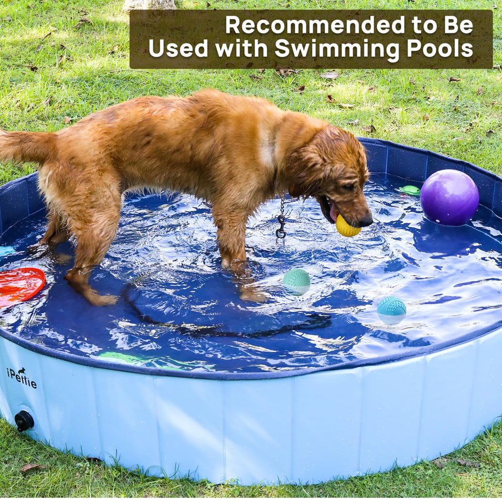 ipettie 2-5 inch diameter dog ball sized for small-to-medium dogs