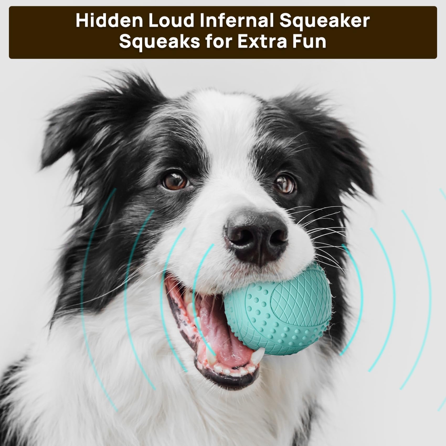 ipettie beefy flavor dog ball attracts dogs during playtime