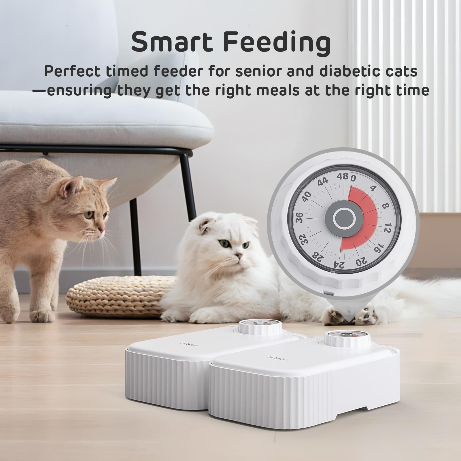 iPettie Bento dual capacity totaling 24 oz for balanced portions.