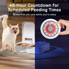 iPettie Bento timer display shows up to 48 hours of programmable feeding.