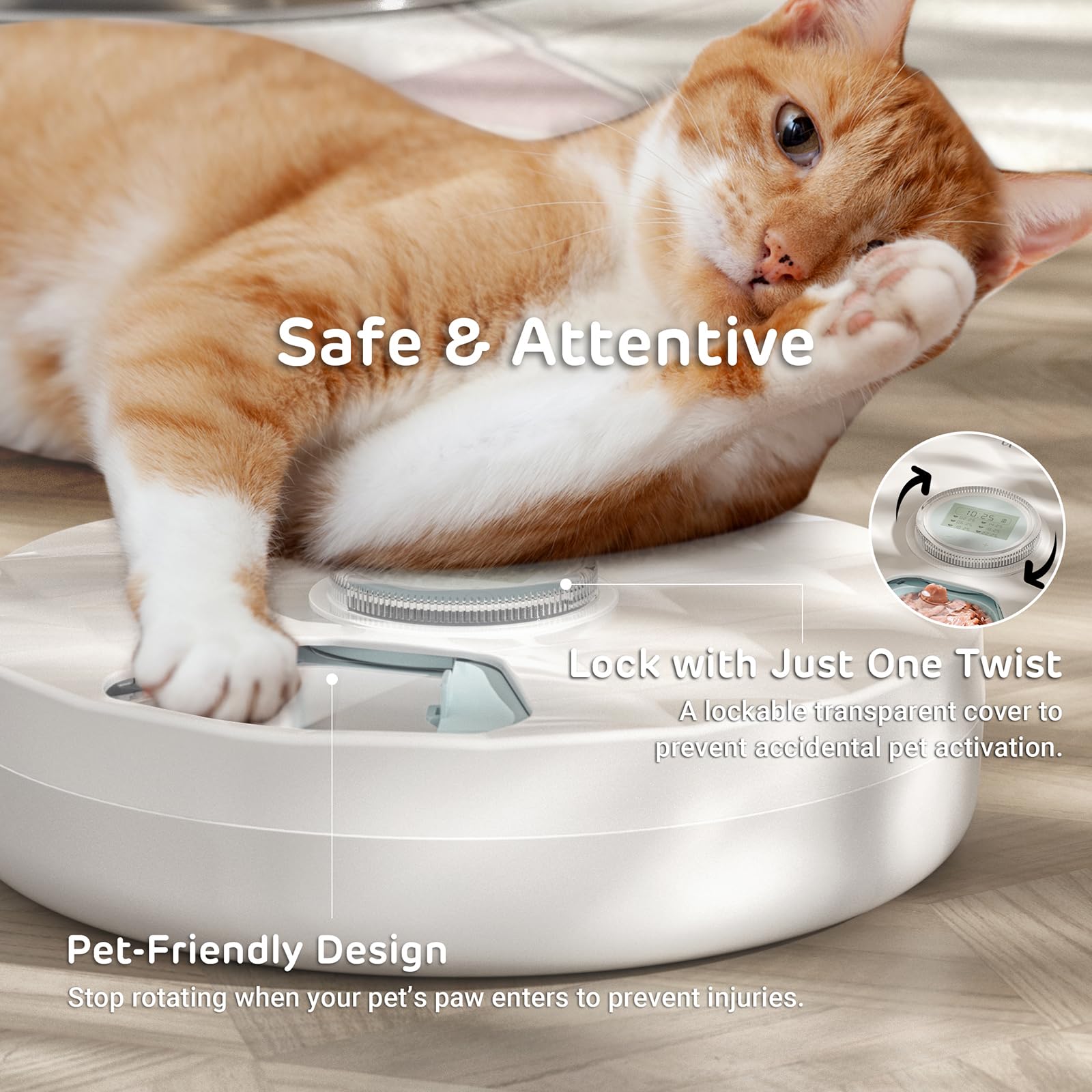 iPettie Brioche locking design prevents pets from tampering with settings.