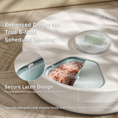 iPettie Brioche time memory feature for set and forget feeding routines.