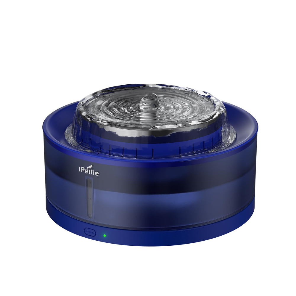 iPettie Cake dog water fountain front view for easy access and shared hydration