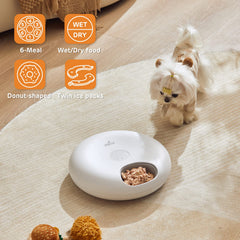iPettie Donut Frost 6-meal tray demonstrates portion-controlled feeding.