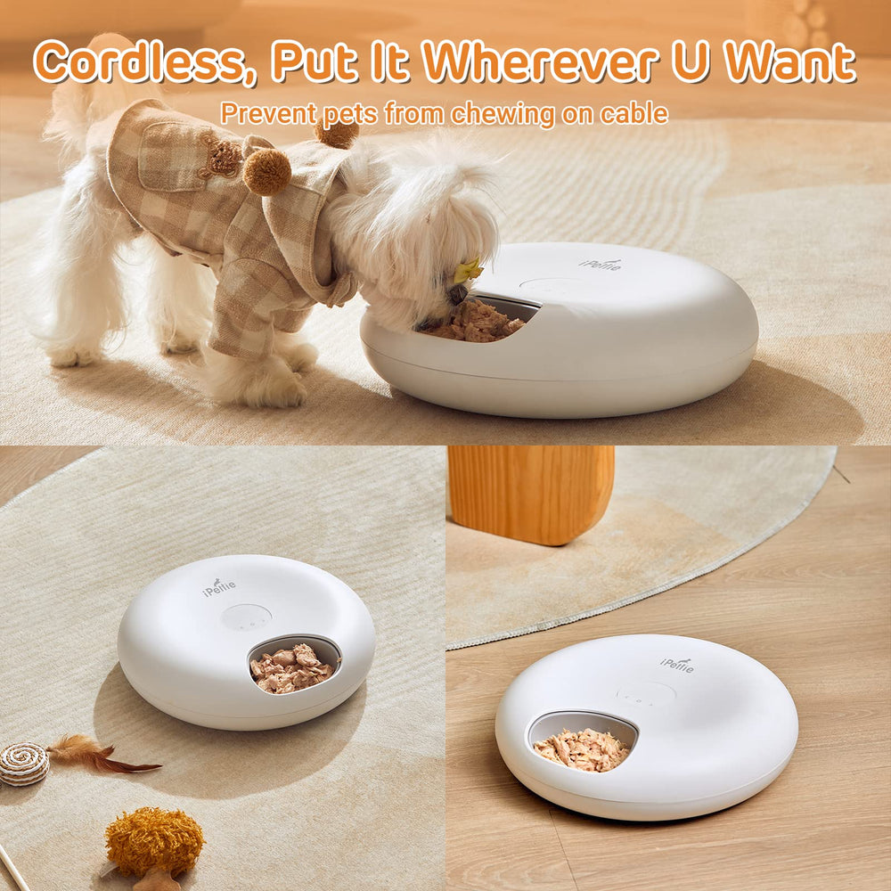 iPettie Donut Frost programmable timer enables tailored feeding schedules.