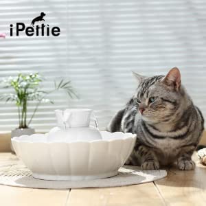 iPettie replacement filter procedure and setup instruction