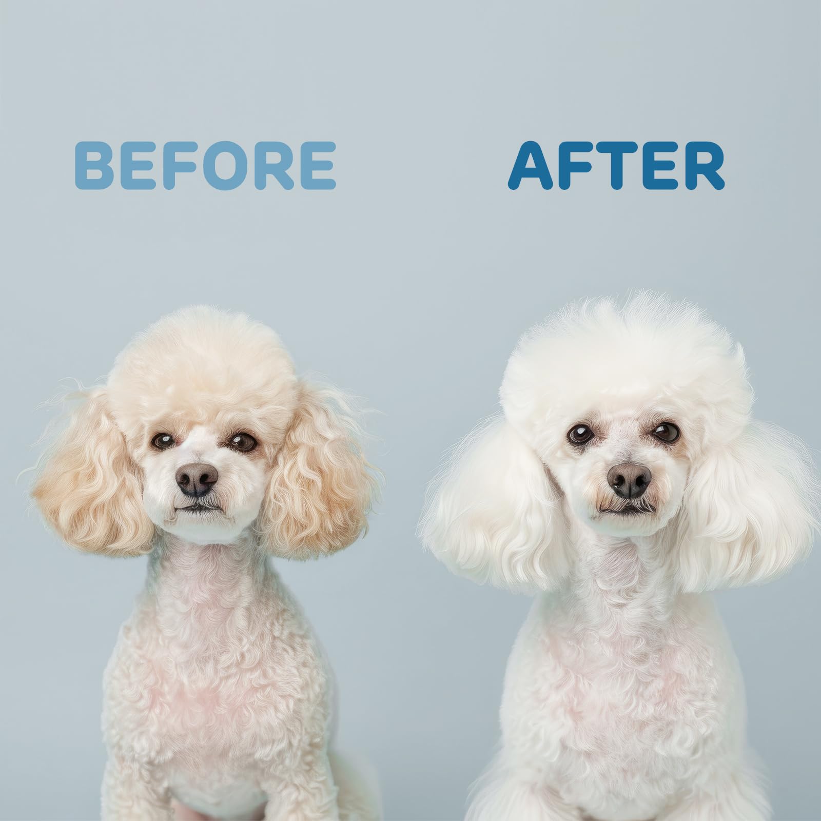 iPettie Furtasy bath-time-scene conveys safe, dye-free cleansing
