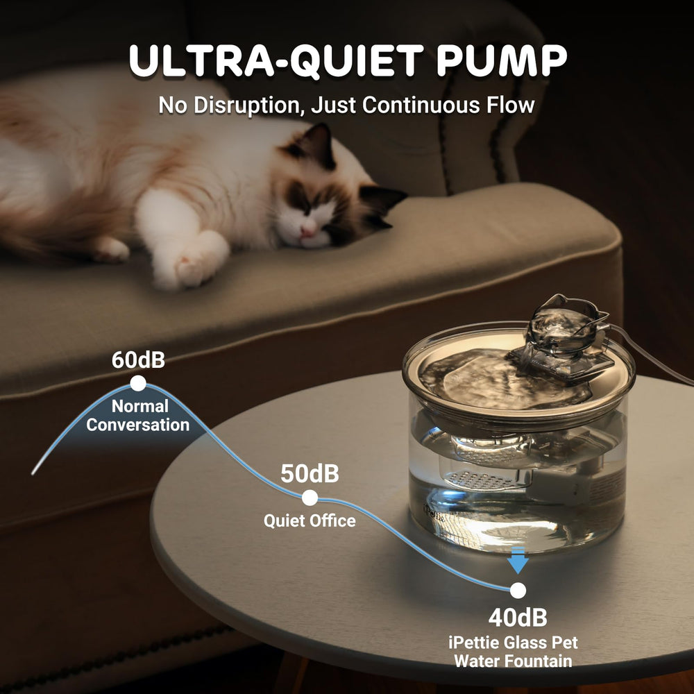 iPettie Glass Cat Water Fountain glass tank and stainless tray for durable cleaning