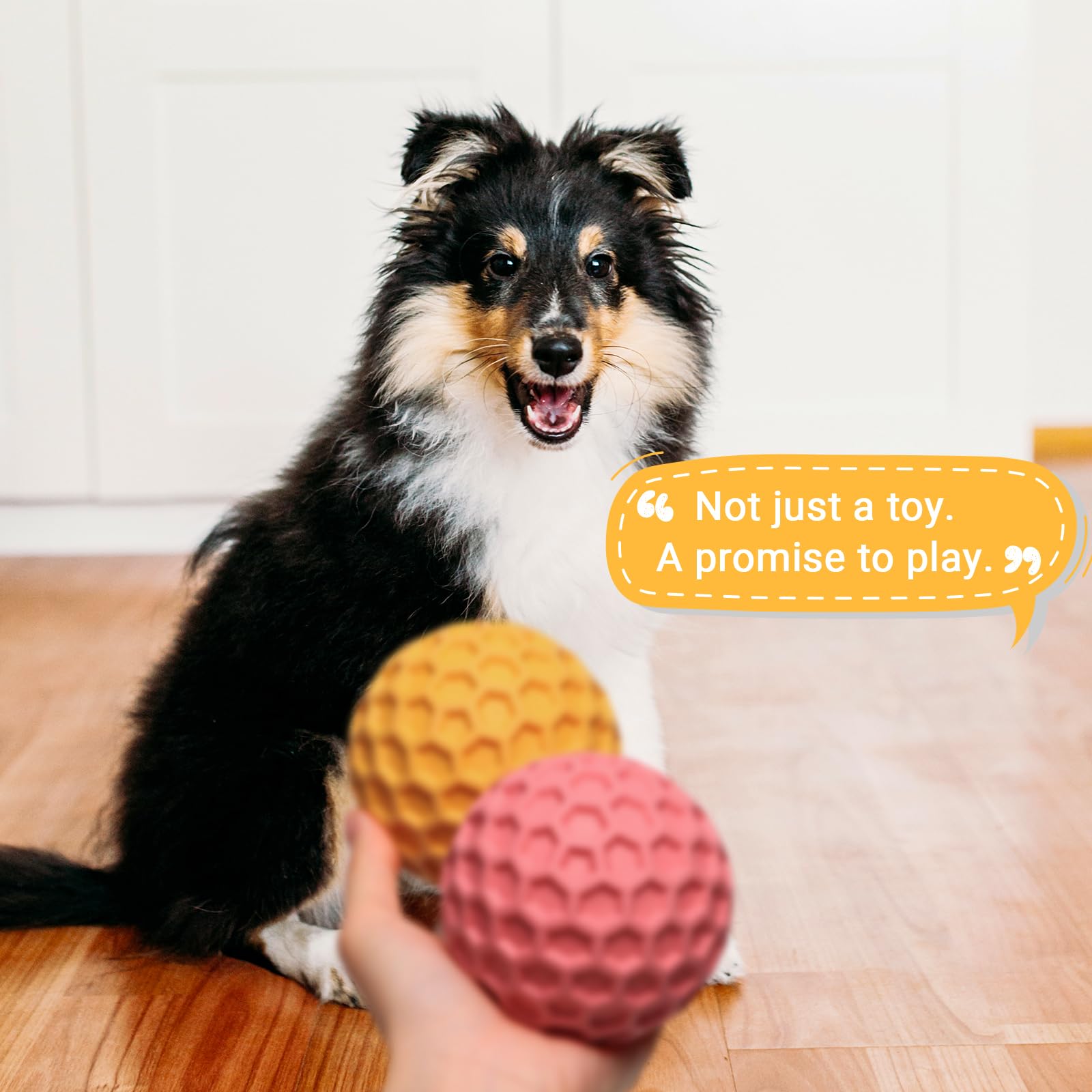 iPettie honeycomb dog toy pack shot shows four durable toys