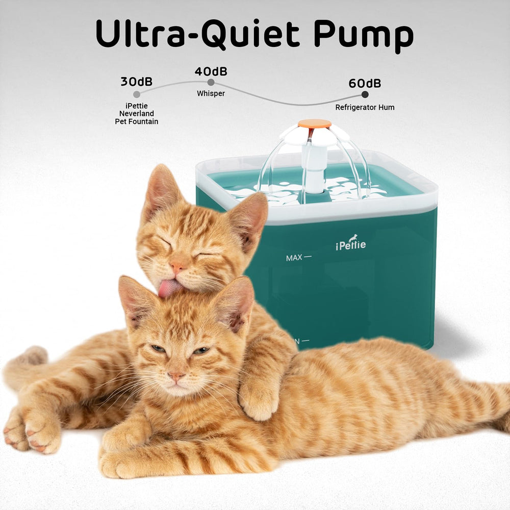 iPettie Neverland fountain ultra-quiet pump delivers peaceful sipping