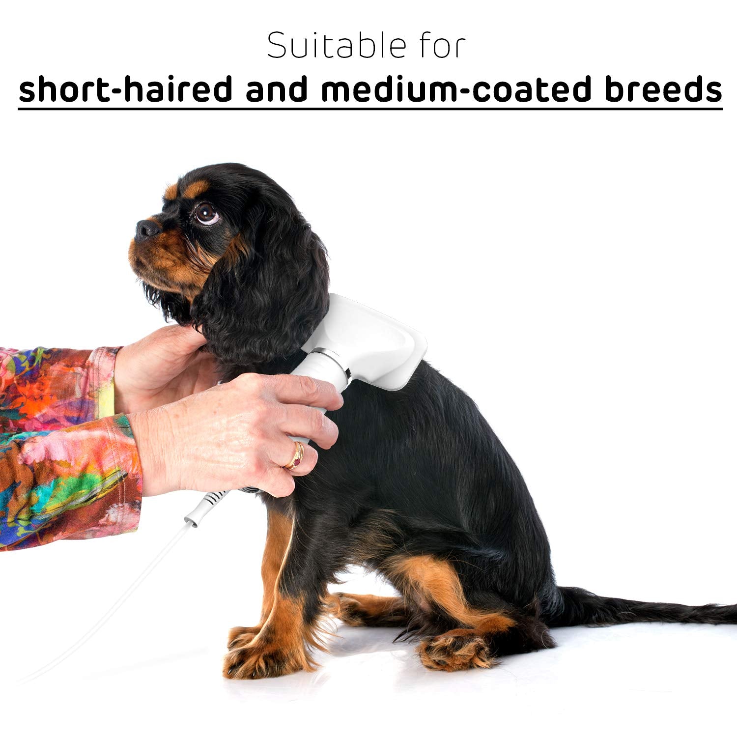 iPettie pet dryer auto shutoff for safe grooming.