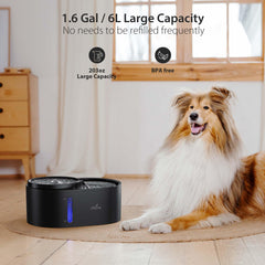 iPettie Waterfall Dog Fountain filter system close-up highlights five-stage filtration