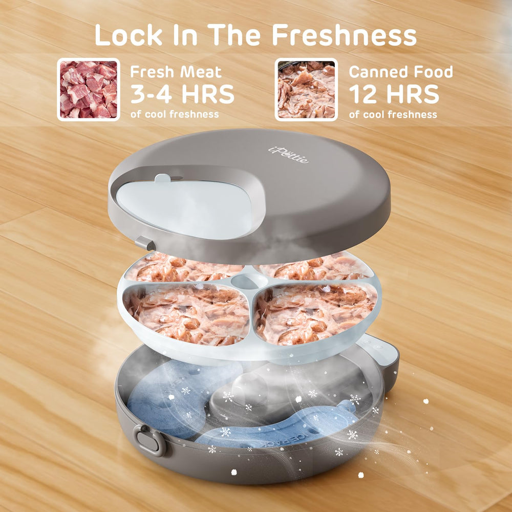 iPettie Zharko battery-powered feeder showing long-lasting AA battery life