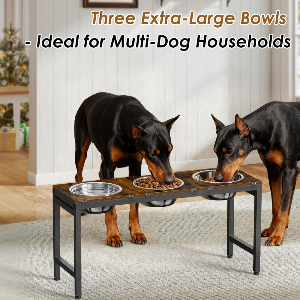 Ipixune elevated feeder used by a large dog at mealtime