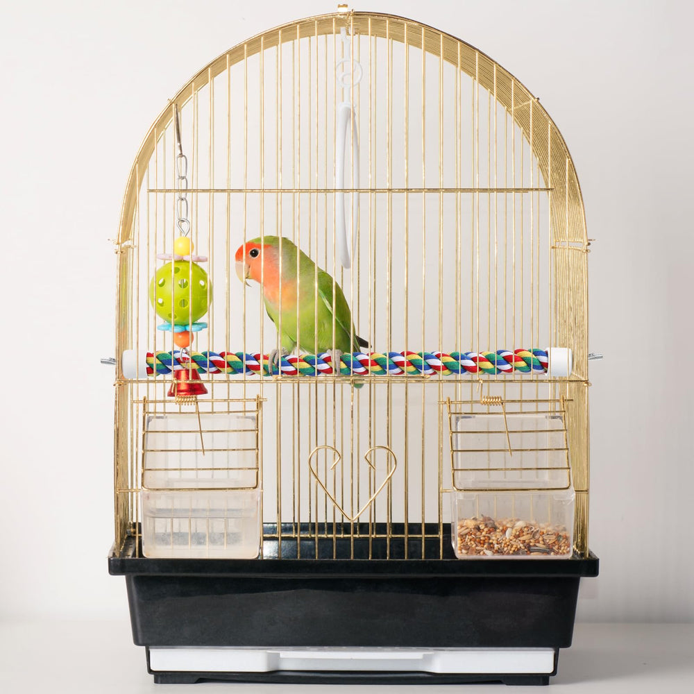iplusmile enrichment-perch-setup quick install for active habitats.
