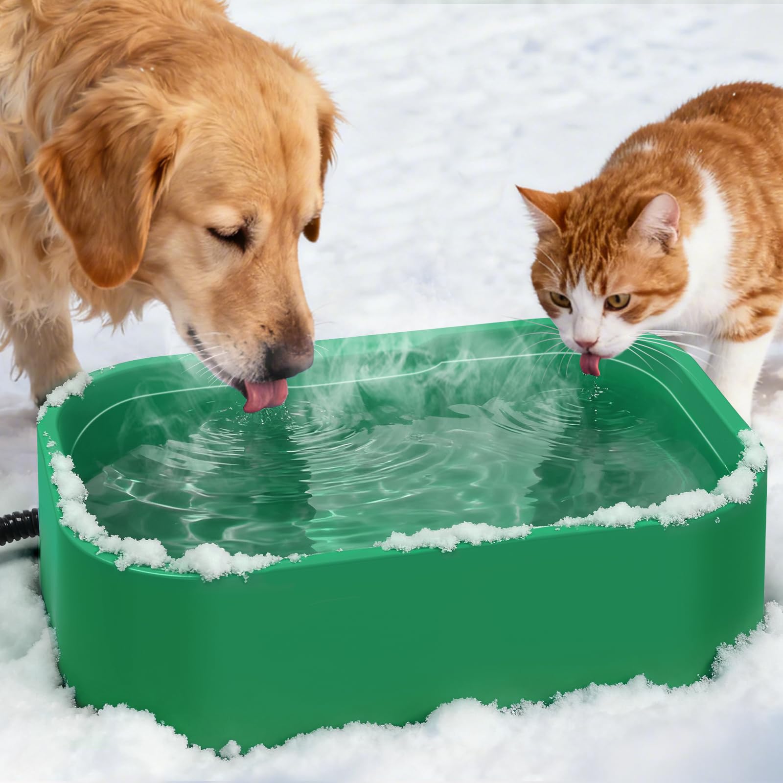IPOW Extra Large Heated Water Bowl showing fast heating for warm water outdoors and indoors