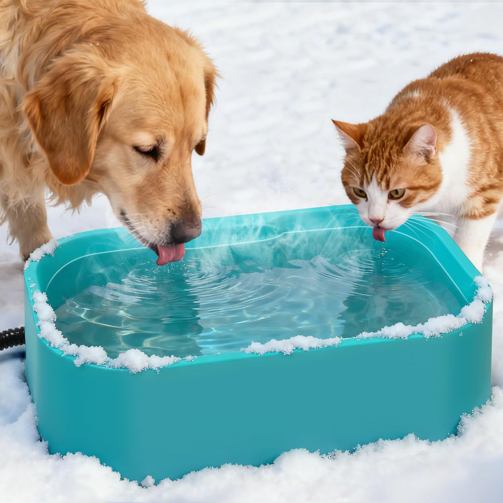 IPOW extra large heated water bowl with lid cover shows outdoors use for winter hydration.