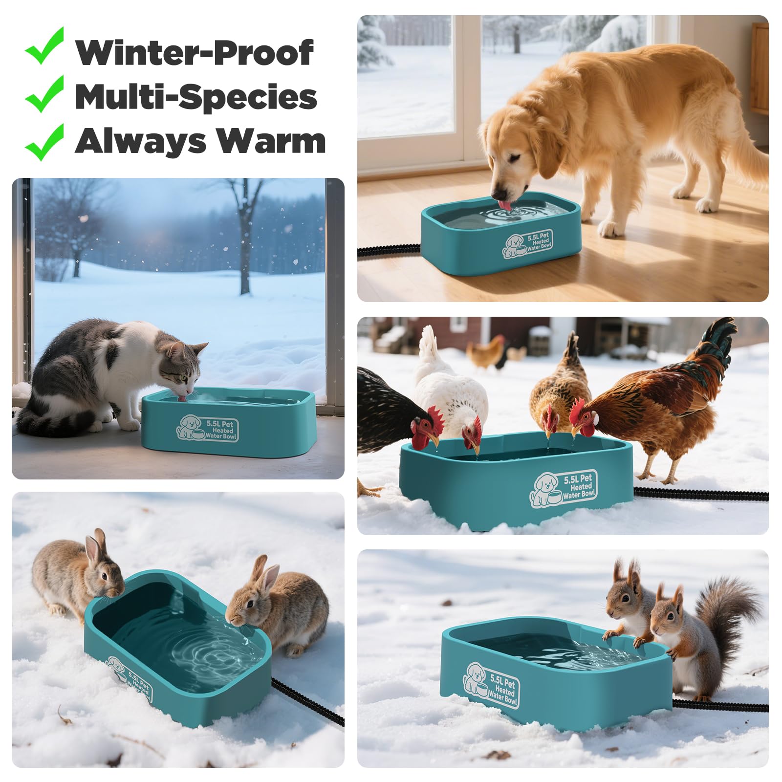 IPOW outdoor setup with 77-95F warmth supports cold weather hydration