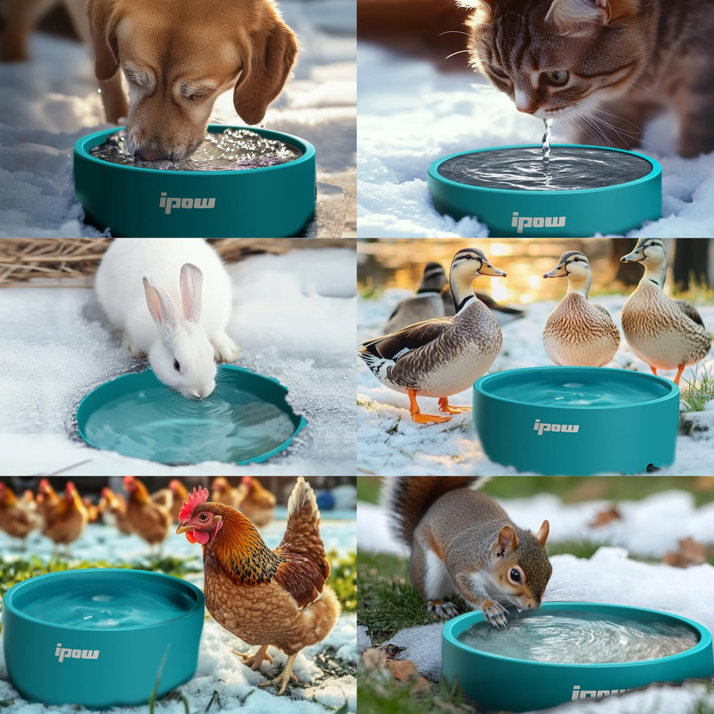 IPOW outdoor-use bowl supports warm hydration on chilly days.