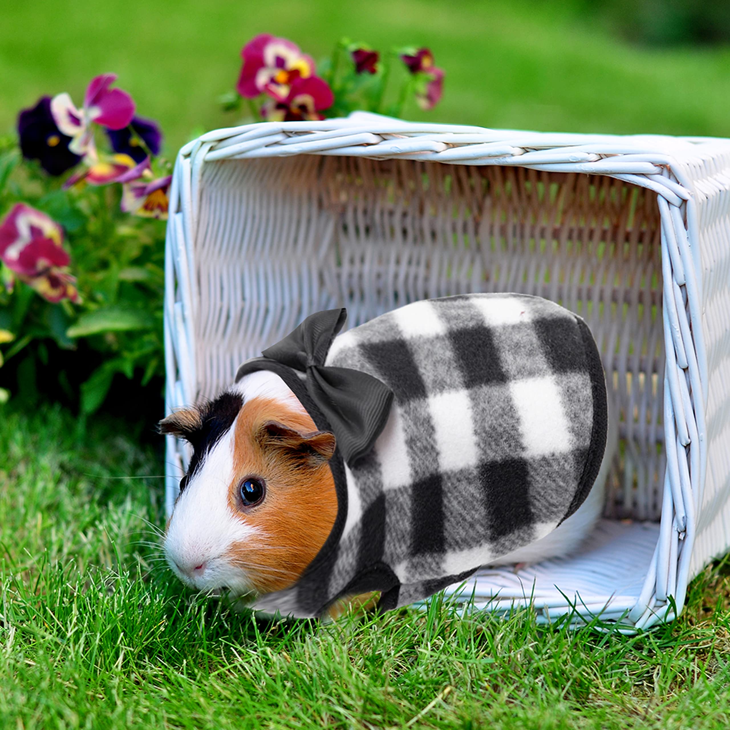 IPRAVOCI Guinea Pig Clothes two-pattern set enables daily changes and festive photoshoots.