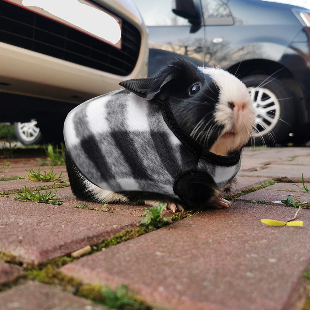 IPRAVOCI Guinea Pig Clothes size chart preview helps selecting the right fit.