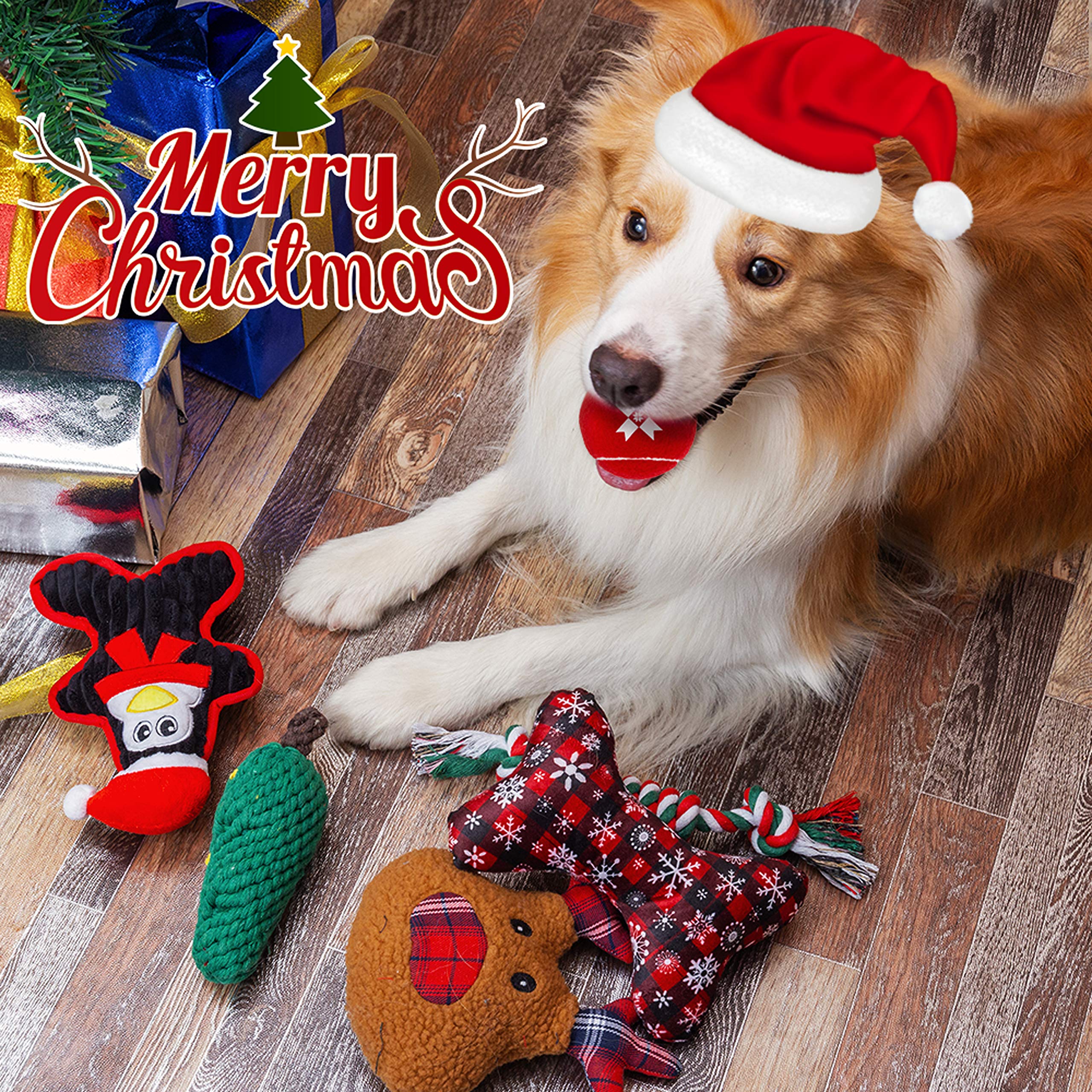 IPRAVOCI red snowflake ball boosts fetch with festive appeal