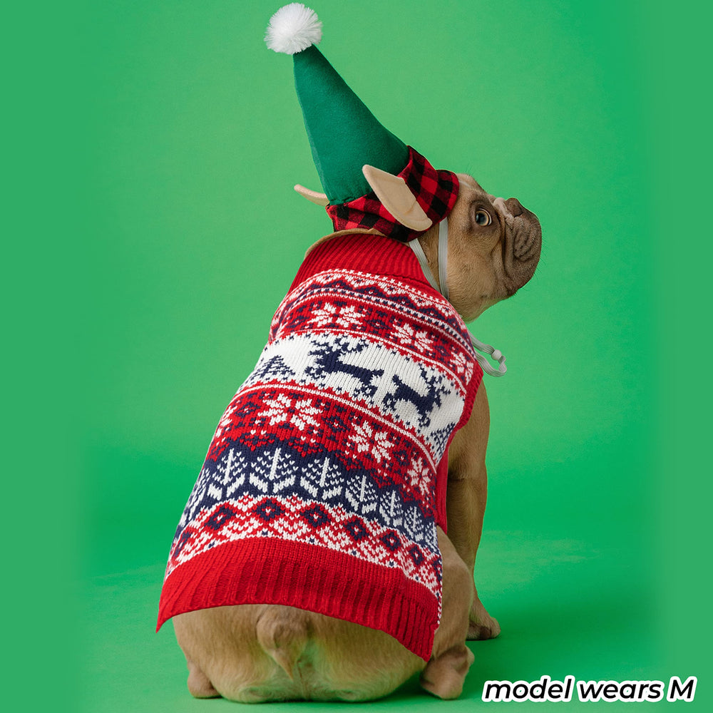 IPRAVOCI dog winter wear in holiday photos showing festive look