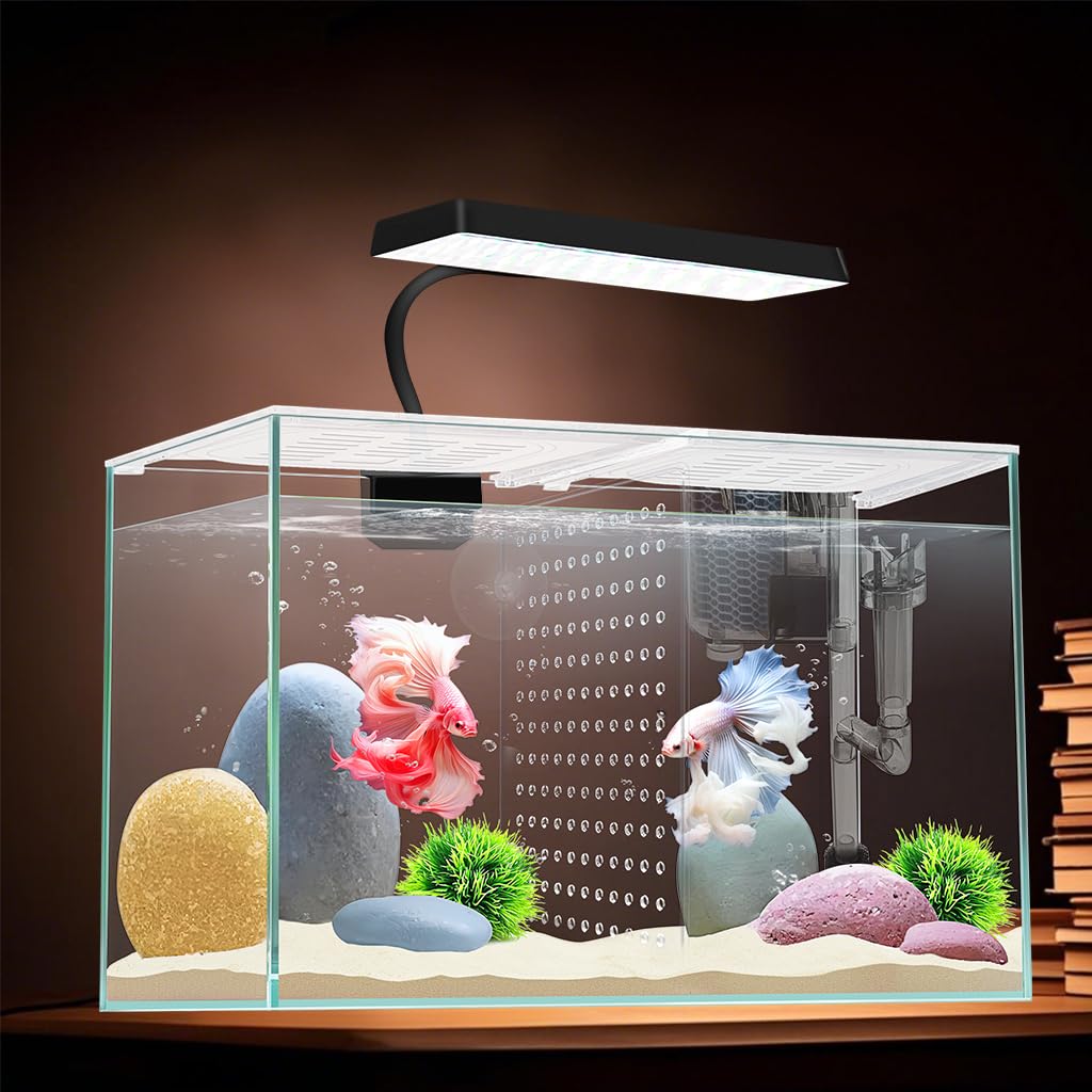 ipriro 3 gallon nano aquarium front view shows compact Betta-ready design ideal for desks