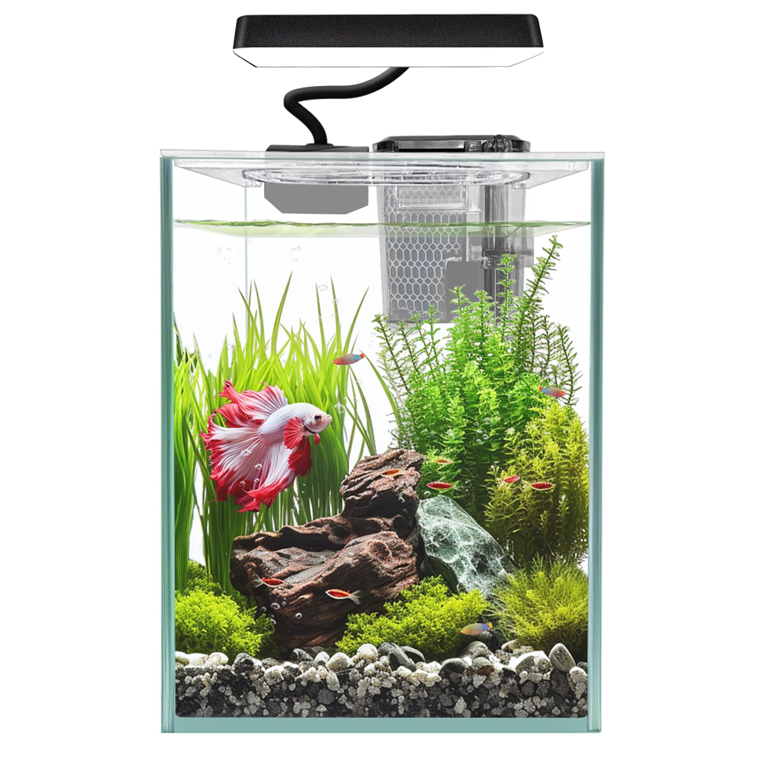 iPriro compact aquarium dimensions fit desks and small spaces for easy placement.