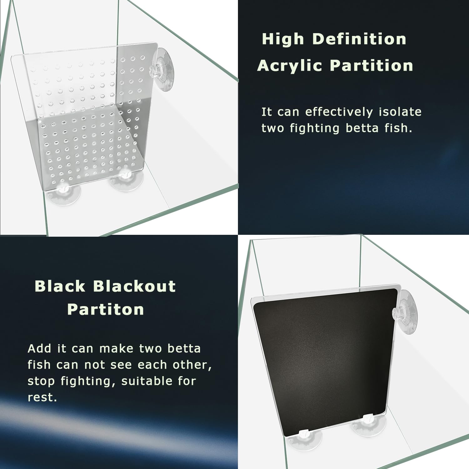 ipriro divider shields image shows two Betta-ready compartments for peaceful coexistence