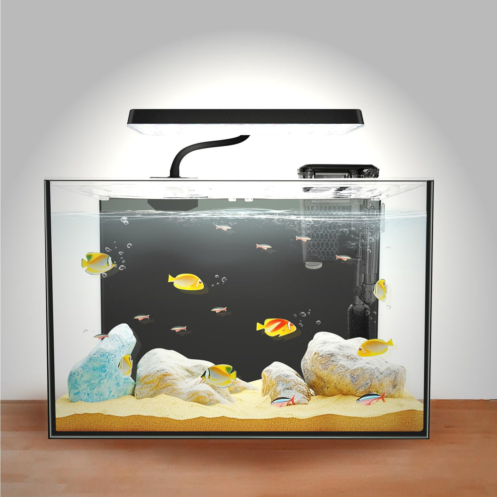 iPriro gift-packaging aquarium presents a ready-to-gift experience.