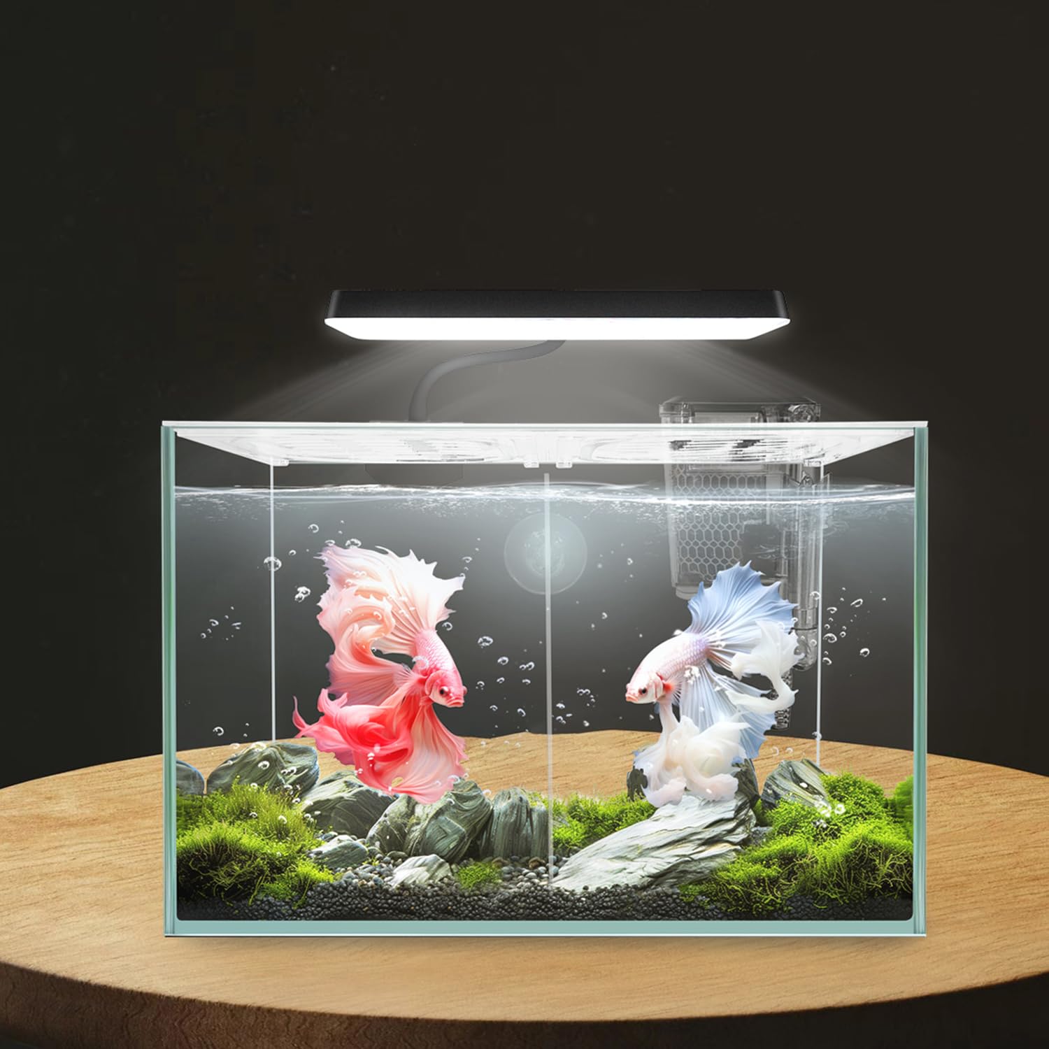 ipriro gift-packaging image suggests ready-to-gift presentation