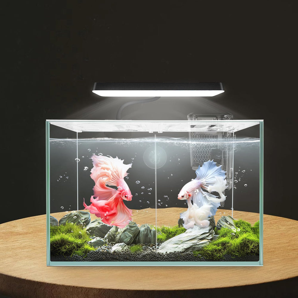 ipriro gift-packaging image suggests ready-to-gift presentation