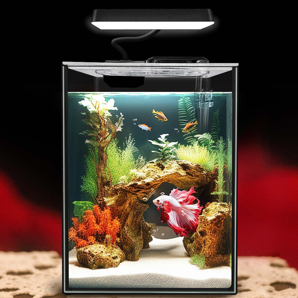 iPriro glass Betta aquarium 1.5-gallon tank for compact spaces and easy viewing.