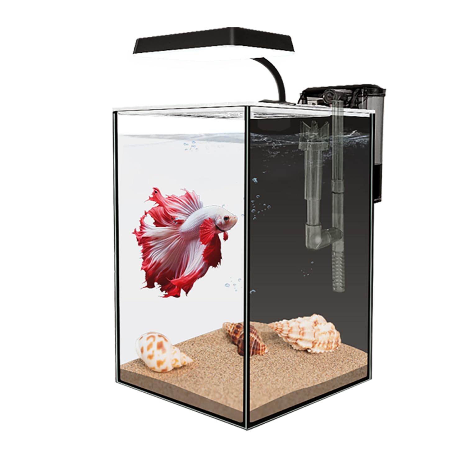 iPriro LED clip-on light brightens the tank and supports plant growth.