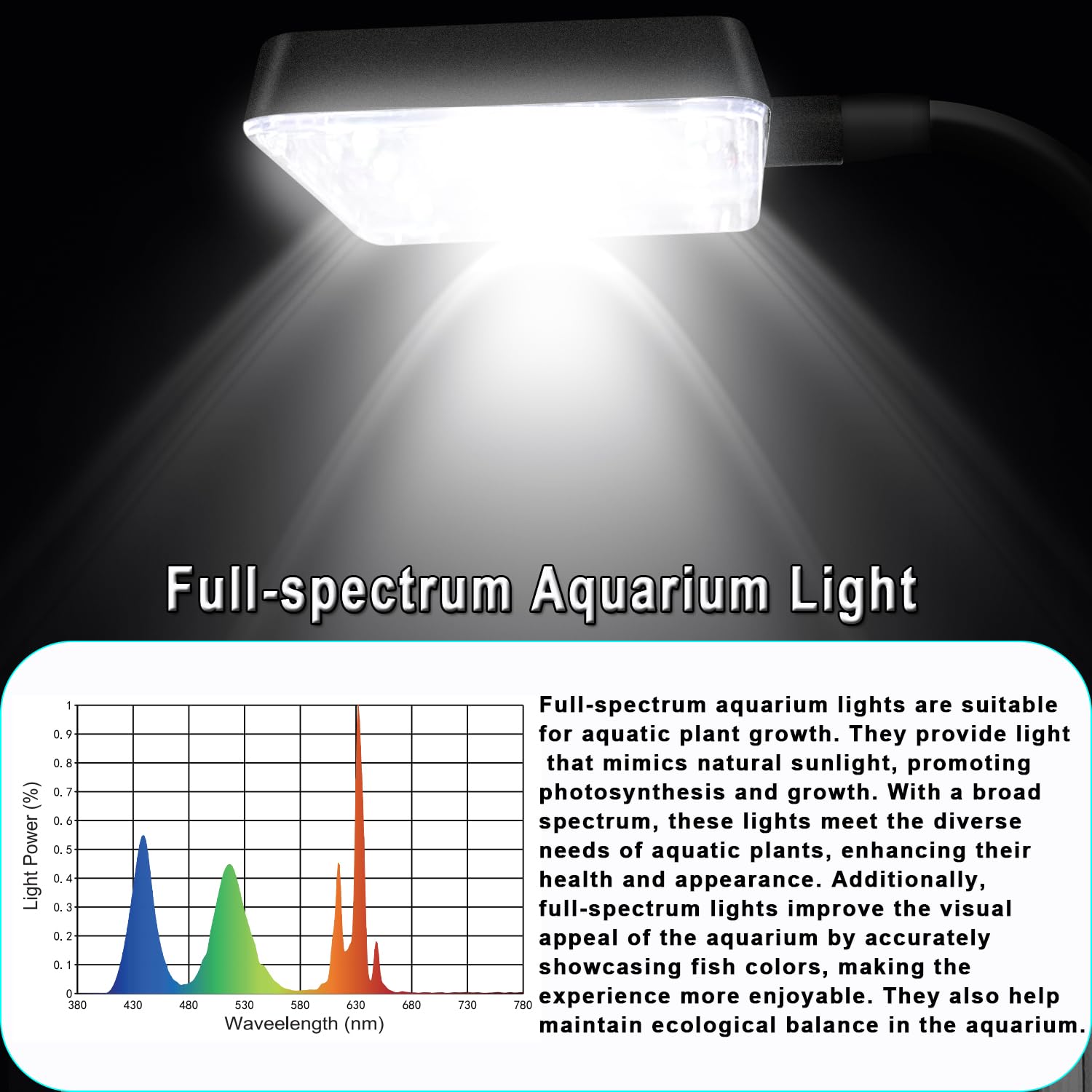 iPriro 4mm glass construction highlights durable, clear panels for small-tank viewing.