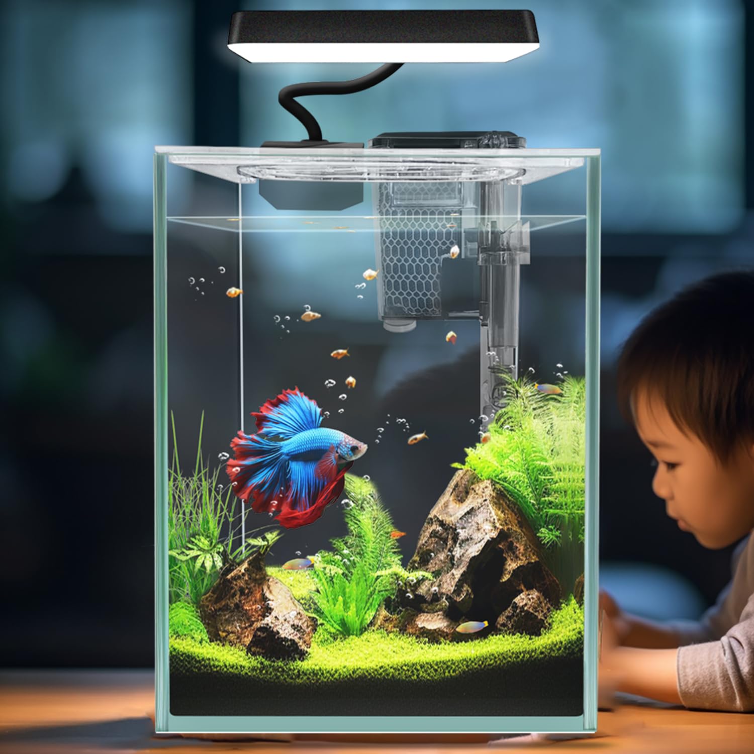 iPriro Ultra White Betta Aquarium with 1.5-gallon capacity, crisp viewing in premium 4mm glass.