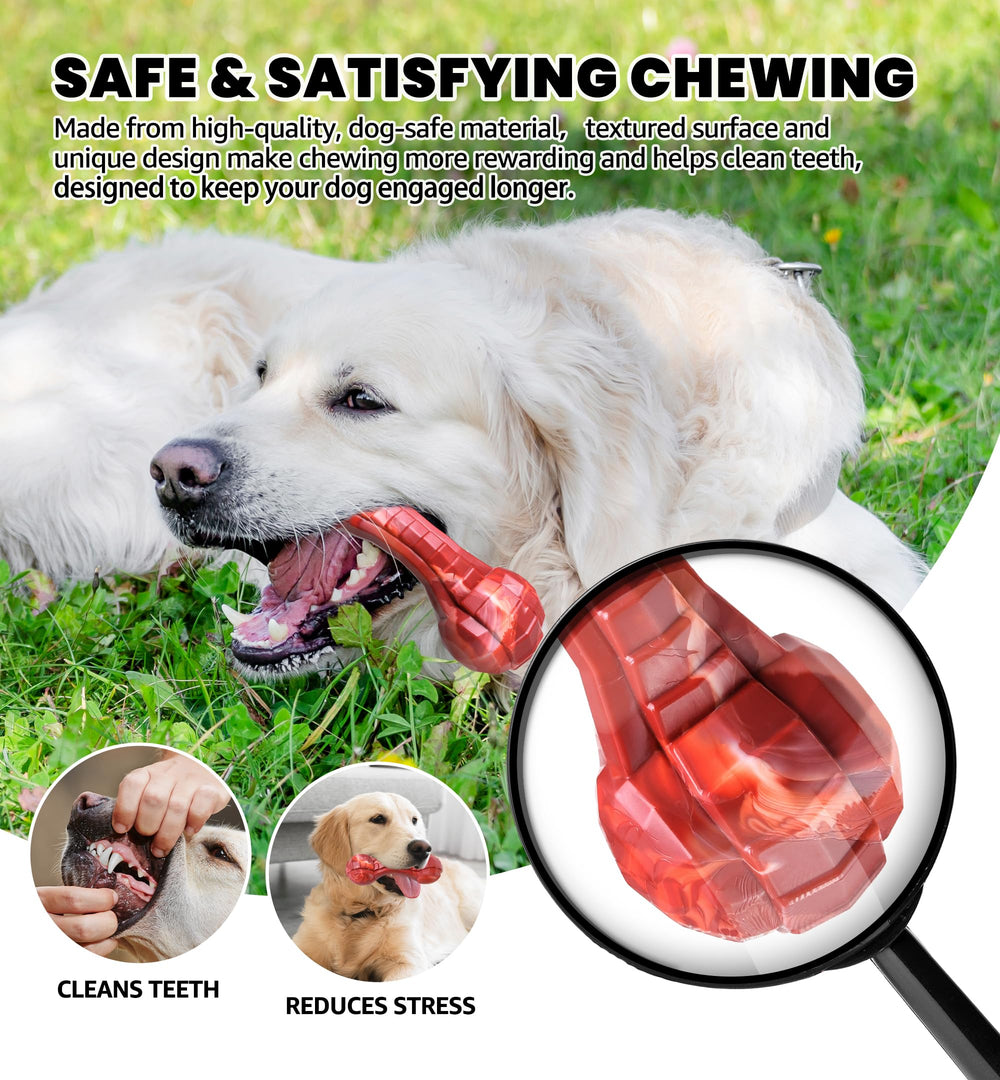 IPTPAS interactive dumbbell chew toy aids bonding and active play with dogs.