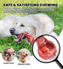 IPTPAS interactive dumbbell chew toy aids bonding and active play with dogs.
