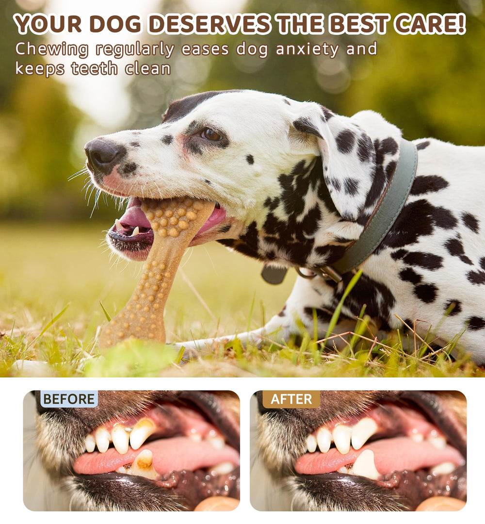 IPTPAS long-lasting toy keeps pets engaged between play sessions.