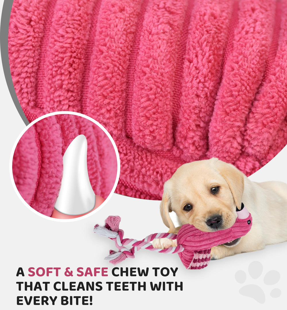 IPTPAS Squeaky Dog Toy Flamingo-Red dogs playing tug to strengthen bonding