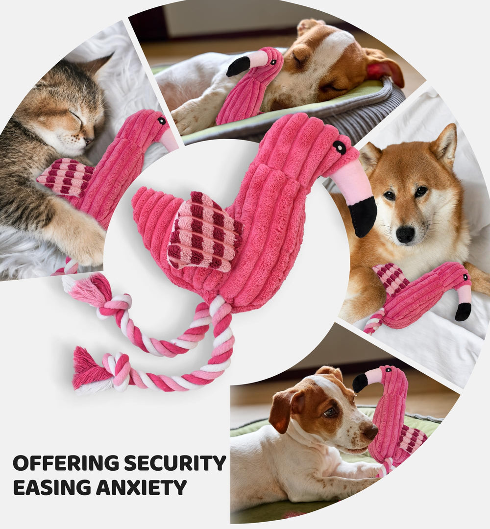 IPTPAS Squeaky Dog Toy Flamingo-Red packaging image ready for gifting