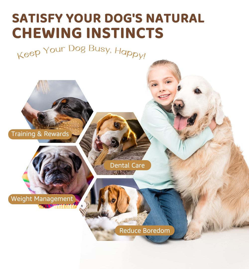 IPTPAS teething-friendly puppy chew provides safe, bite-resistant relief.