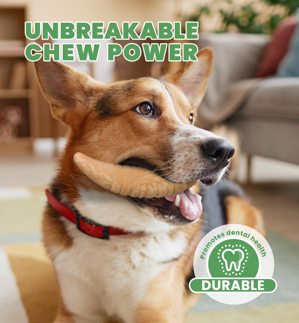 IPTPAS Ultra-Tough Dental Toy texture cleans teeth and gums during play.